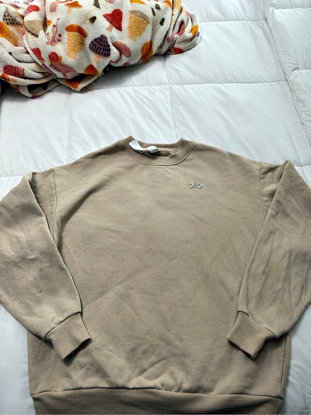 Alo Accolade Crewneck Sweatshirt size xxs
